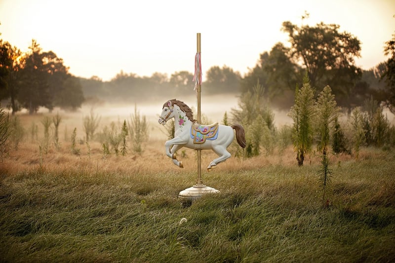 Sunrise Ornaments